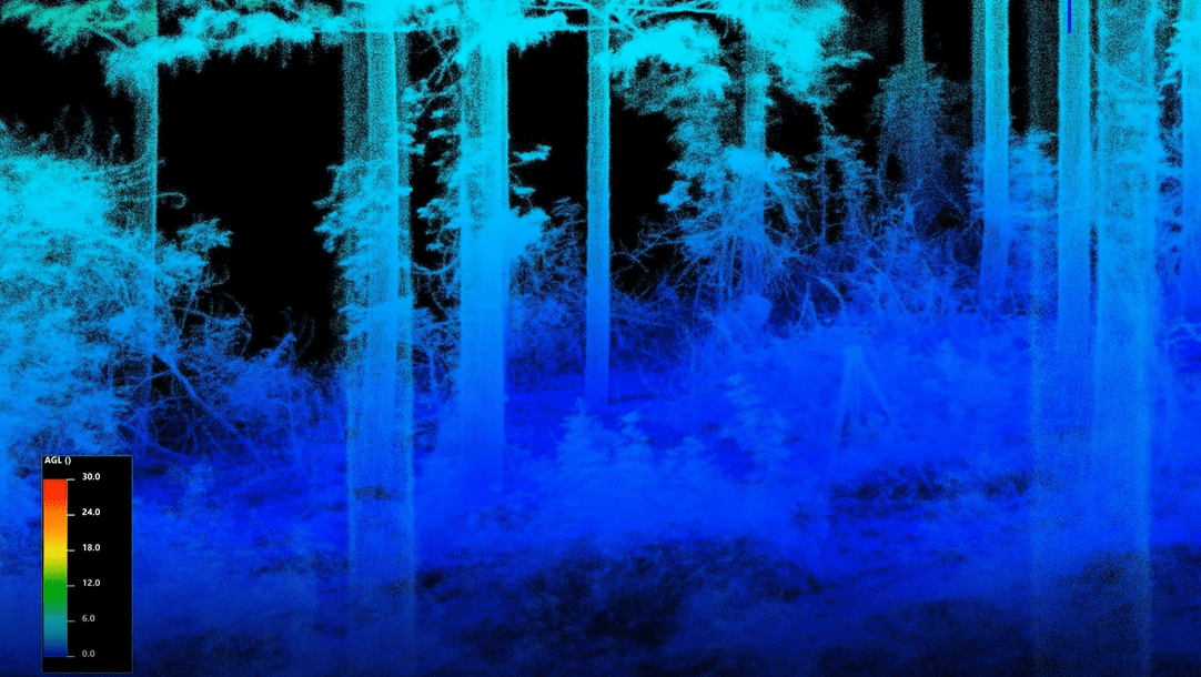 Capture-interpine3