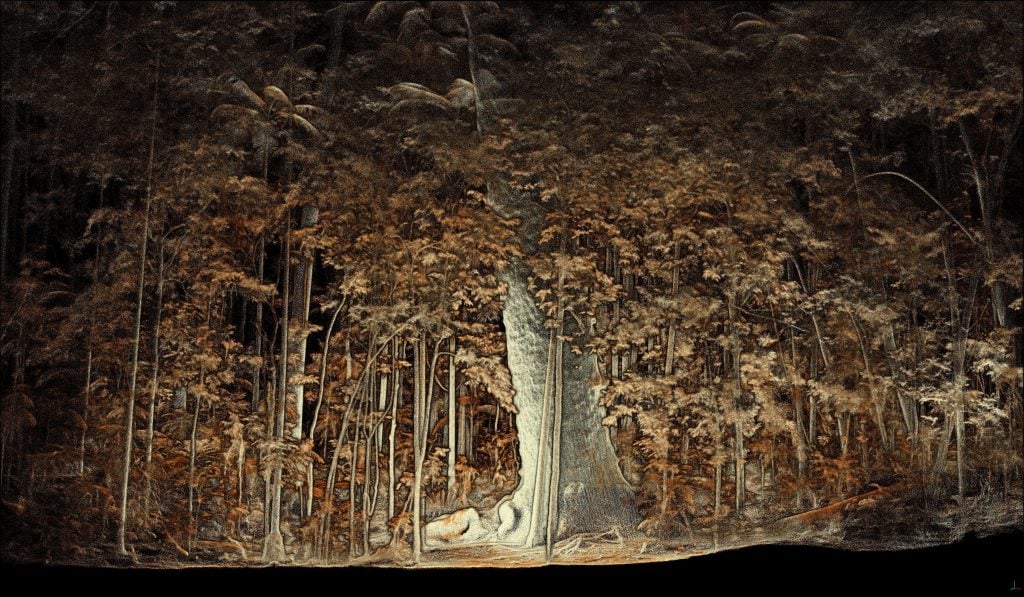 Hovermap permitió a un técnico de Interpine captar una exploración completa de la parcela forestal en LiDAR en sólo 10 minutos.