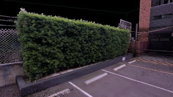 Wotso Brisbane GX1 hedge 600pxW